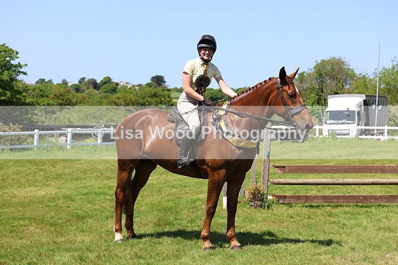 3E7A8106 - Working Hunter Championship
