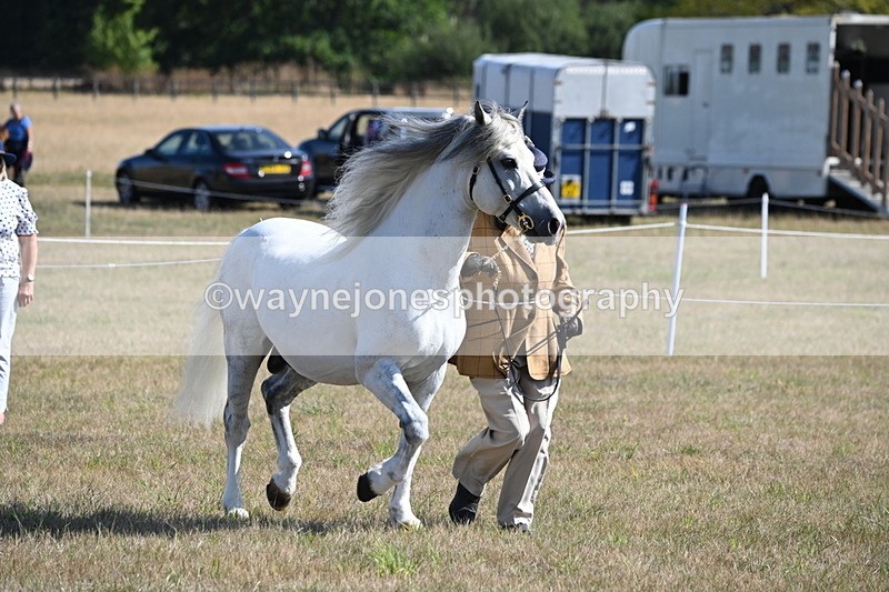 WJ6_4216 - Class 16 Condition & Turn Out