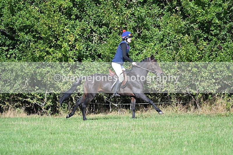 WJ7_8559 - 60cm Pairs