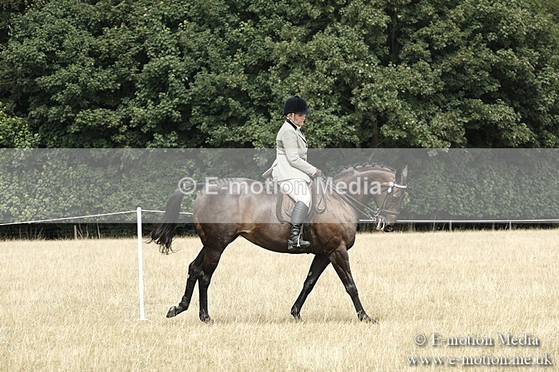 _PJP6060 - BVRC Show 2018 Ring 1