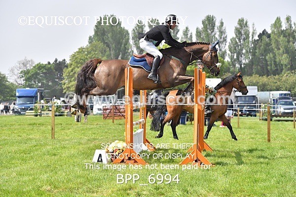 BPP_6994 - CLASS 3 RHS Fox Champ Qual (1.20m)