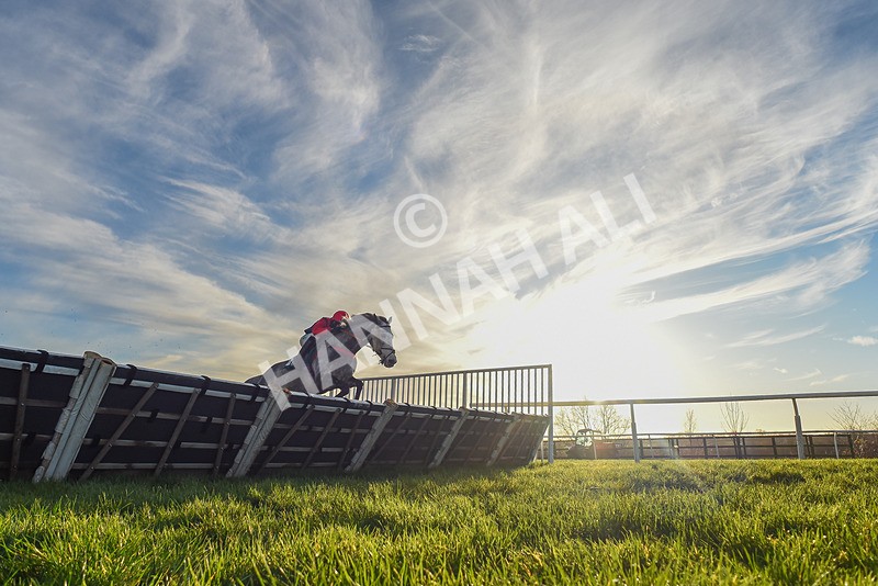 161225-Race 5-Somebodycomegether-7715 - Race 5