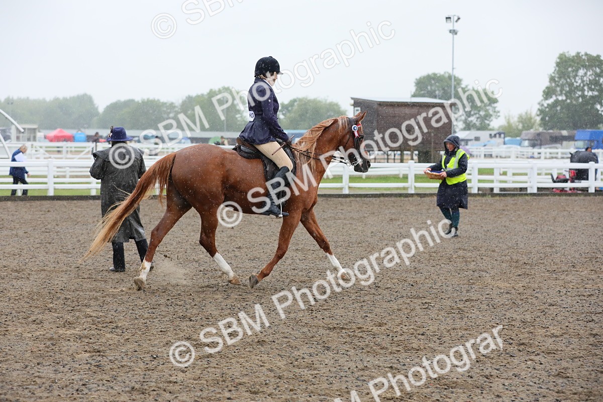 SBM_20359 - Class 803 - Ridden Combination 65+