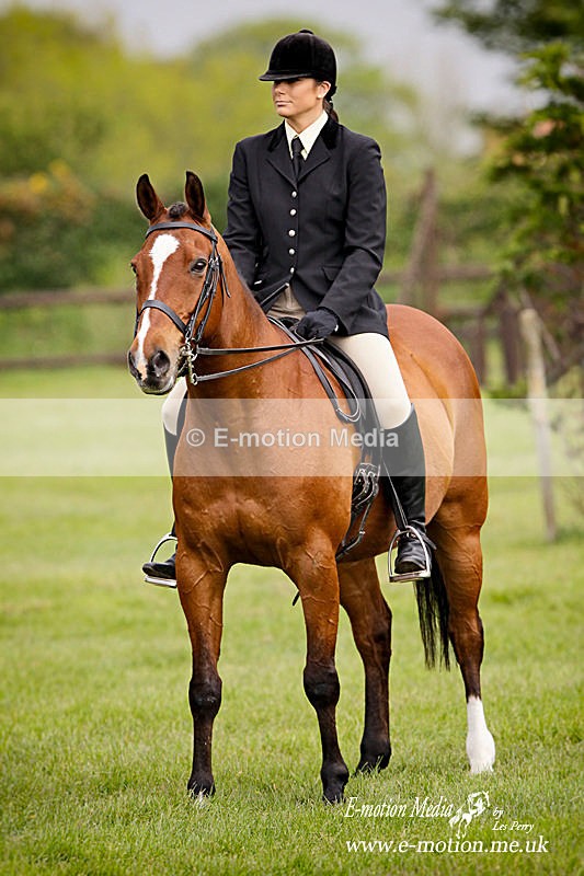 Eq -19a - Equestrian