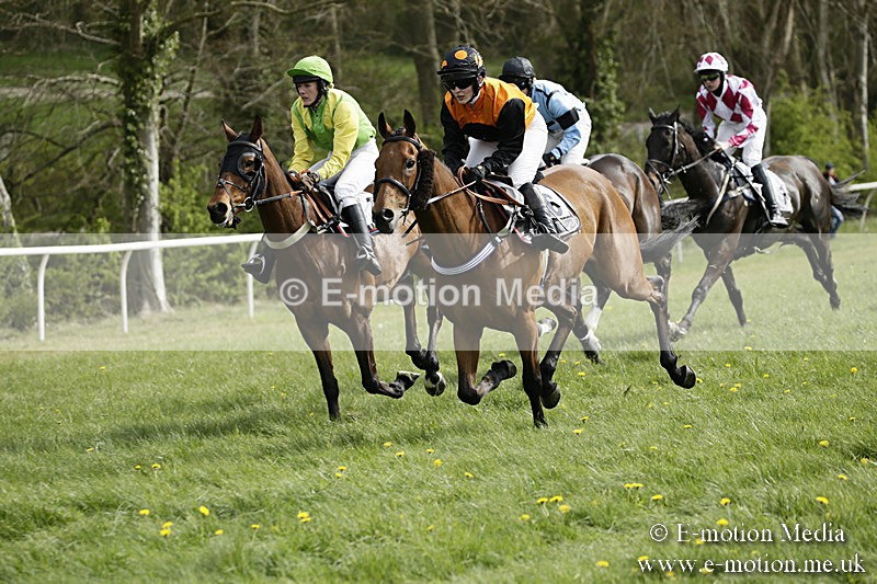 PtP 170417 294 - Old Berks Point-to-Point Lockinge 17/04/17