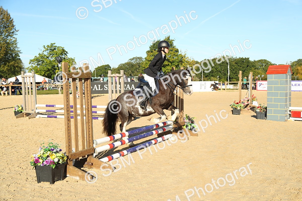 SBM_35020 - J5 - Junior Pony 50cm Championship