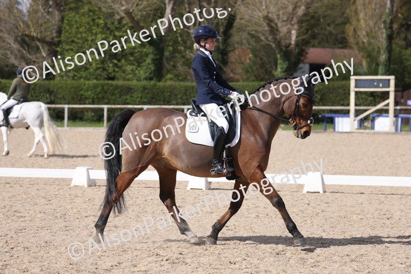 20260405-0786 - Class 8 - Medium 6