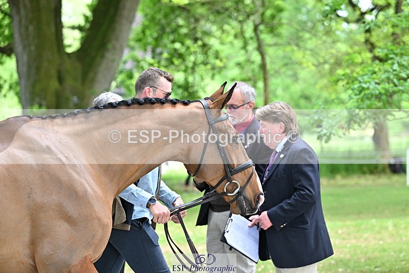 250521A-152615-00509 - B-312-Mark.Davidson-THE.BOSSMAN