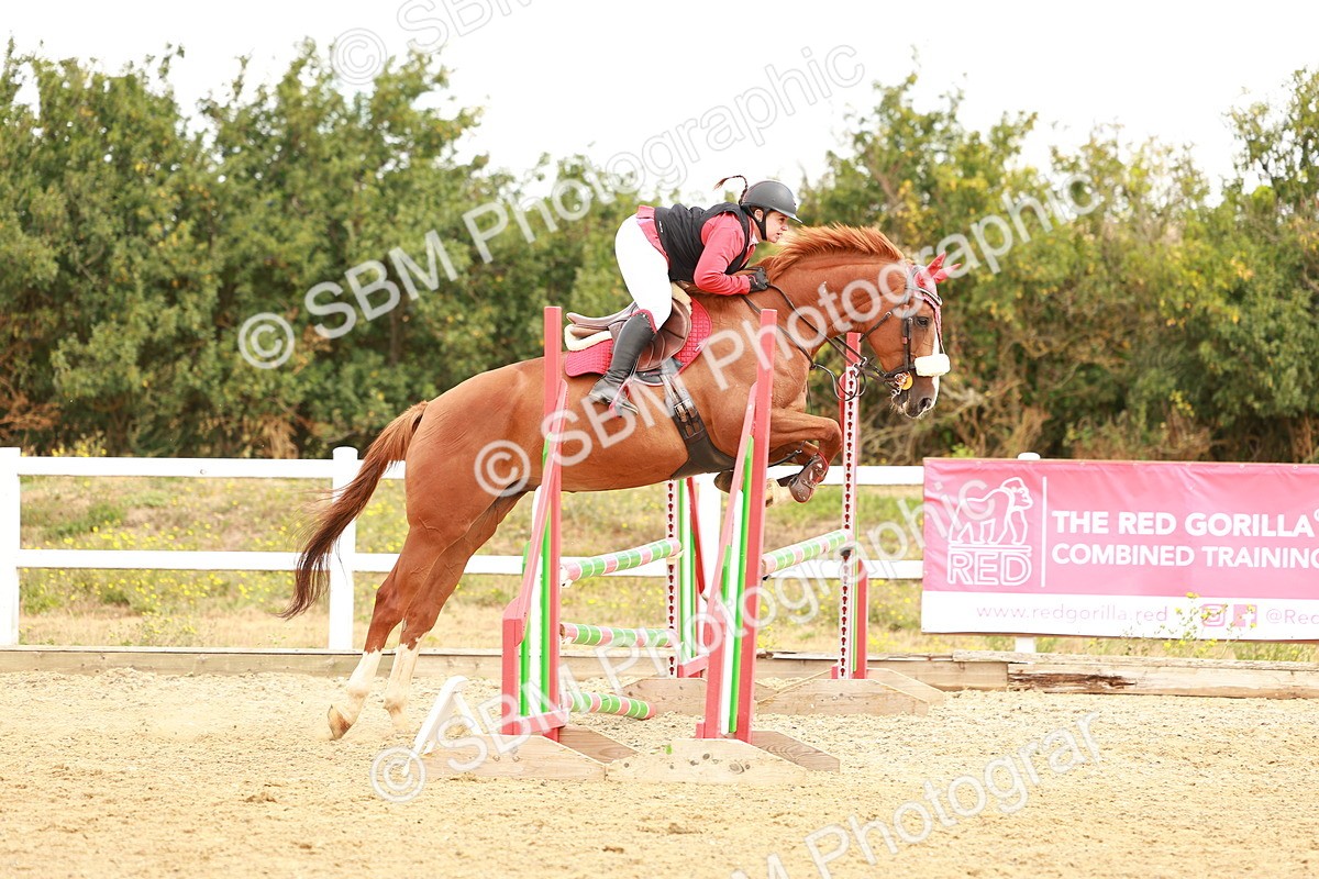 SBM_005530 - Class 2 - Senior British Novice - 90cm