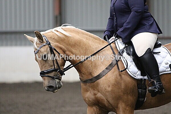 SIAL5473 - CAbin Dressage 5th july 2025