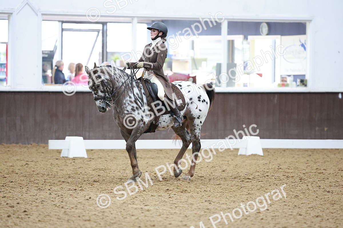 SBM_021363 - Class 14 - FEI Grand Prix - 17.40-18.34