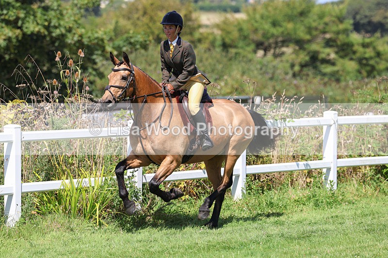 3E7A9004 - Class 6: Open Working Horse