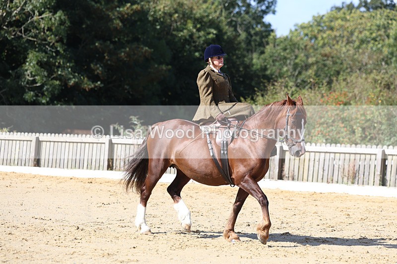 3E7A2730 - Class 4: Prelim 6 Section A Championship