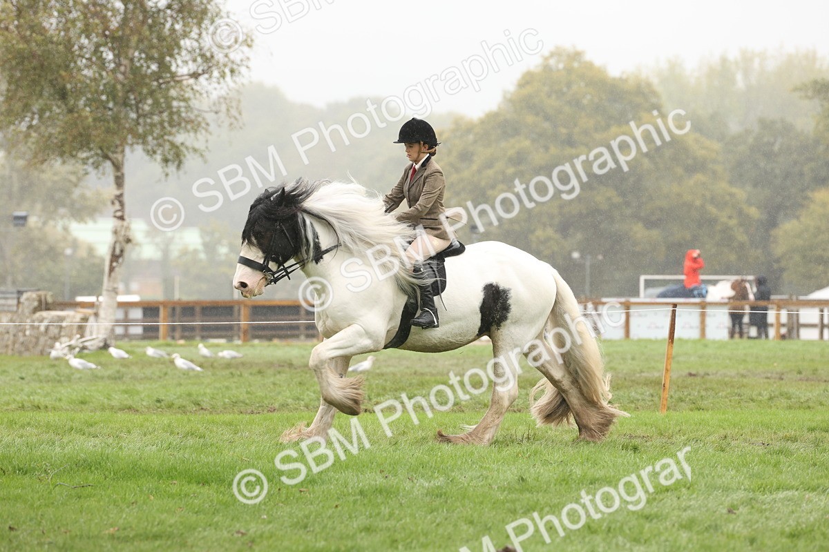 SBM_72721 - S70 - Traditional Cob Ridden