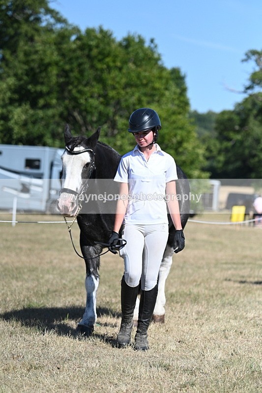 WJ7_1804 - Class 43 Best Six Legs (In hand)