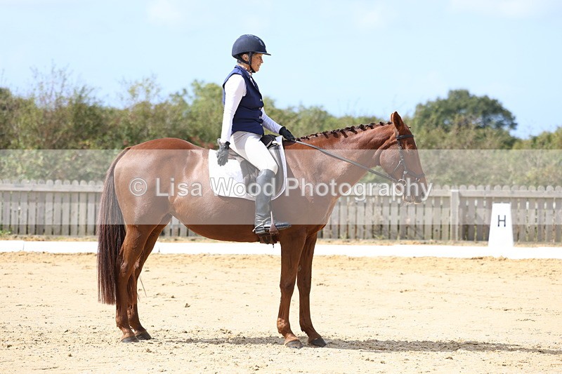 3E7A4036 - Class 9: Novice 6 Section B Championship