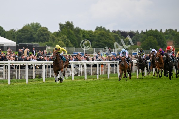 120724-Race 5-Sisyphean-6229 - Race 5 4.20pm George Blades Memorial Handicap