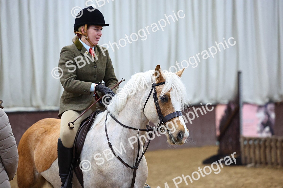 SBM_003070 - Class 35 - 60cm Training Stakes