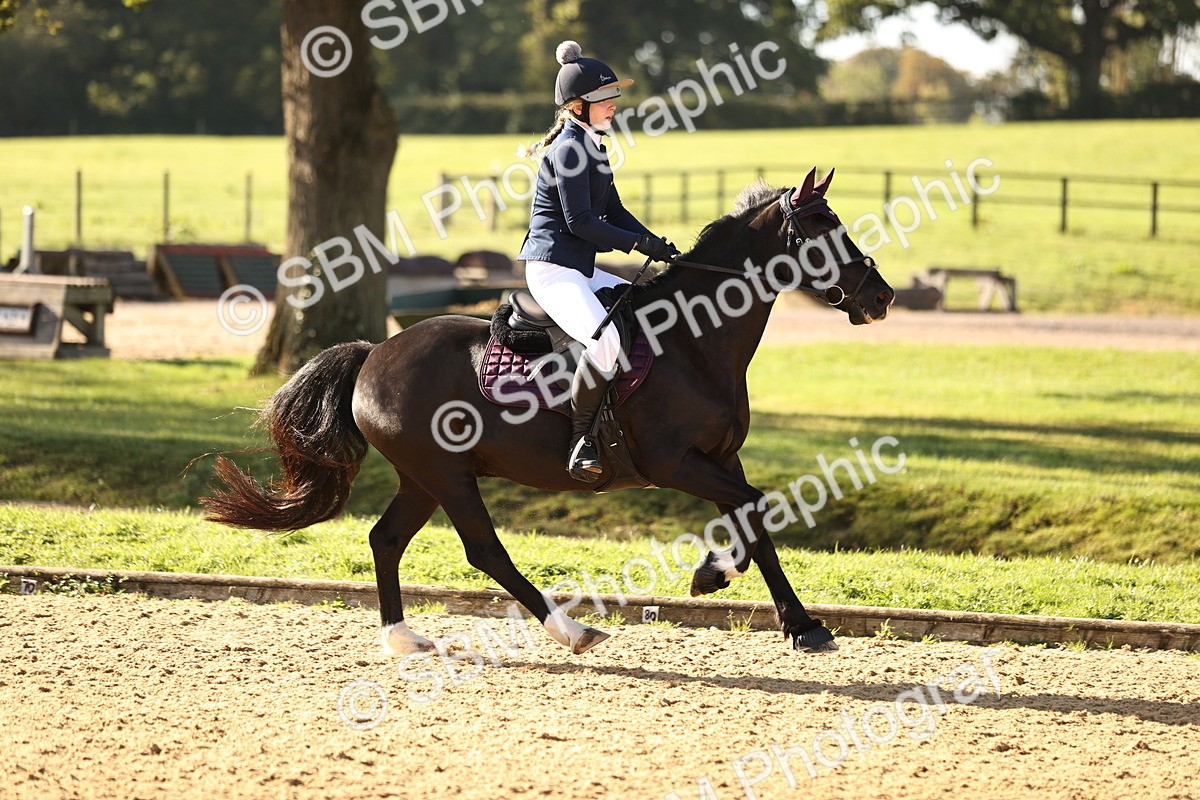 SBM_35123 - J38 - Senior 80cm Championship