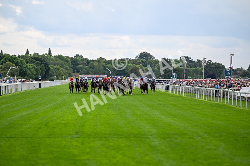 190826-Race 1-Air Force One-0595 - Race 1 13.50pm Hong Kong Jockey Club World Pool Handicap