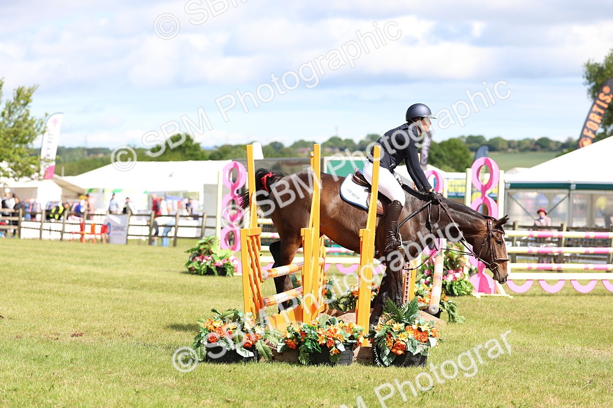 SBM_13528 - Class 206 - Senior Newcomers - 1.10m Open