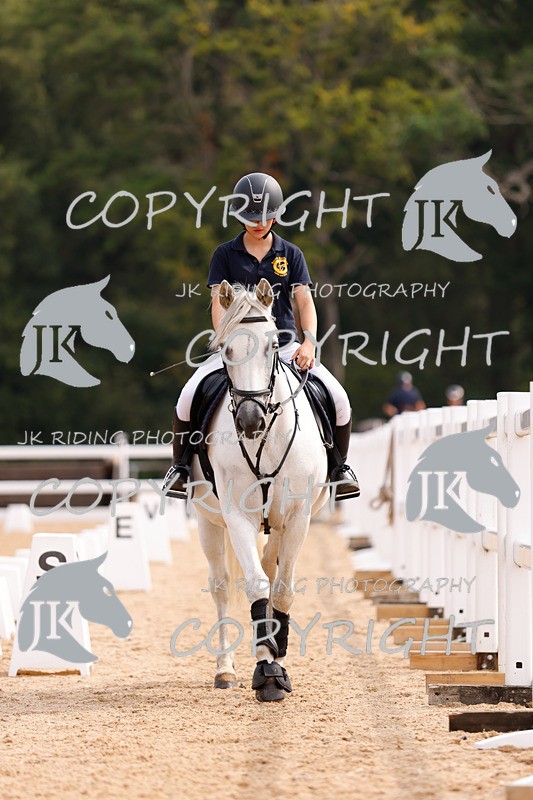 _R6A2414 - Dressage Morning