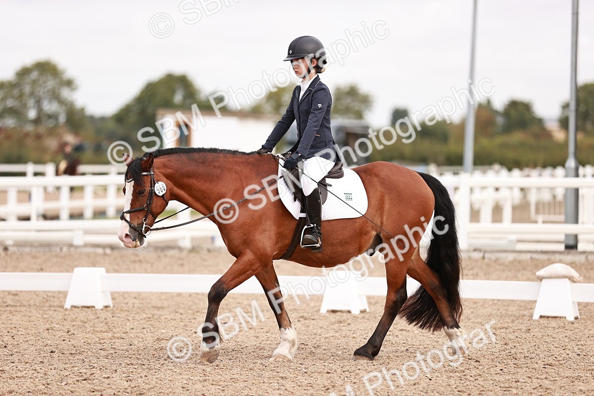 SBM_02447 - Class 35 - Intro 3