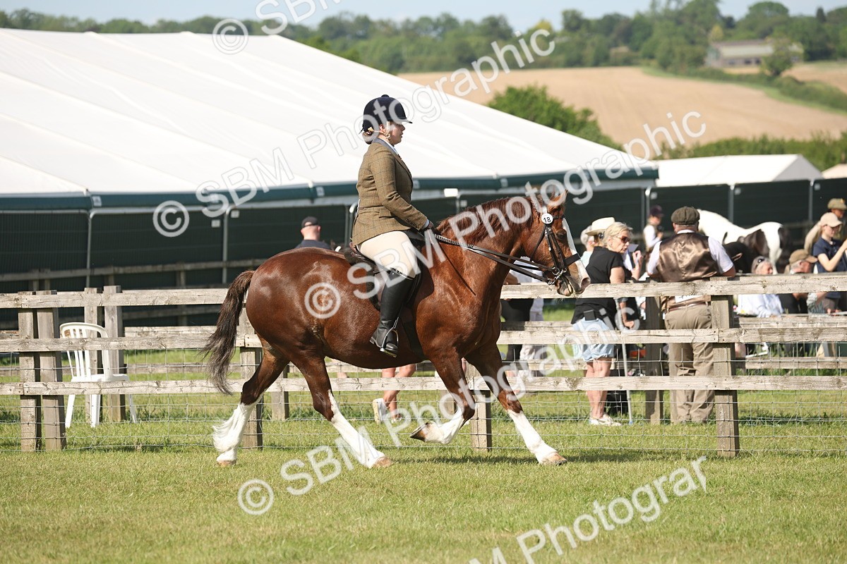 SBM_09553 - Class 33-38 - SSADL RIHS Qualifiers