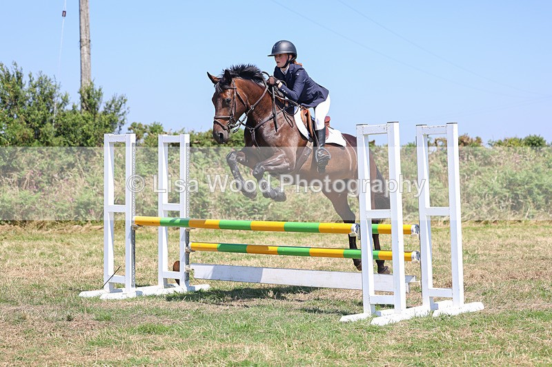 3E7A4442 - Class 10: Senior British Novice/90cm open