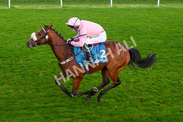 111024-Race 7-On The River-2253 - Race 7 4.55pm Ire Incentive, It Pays To Buy Irish Apprentice Handicap