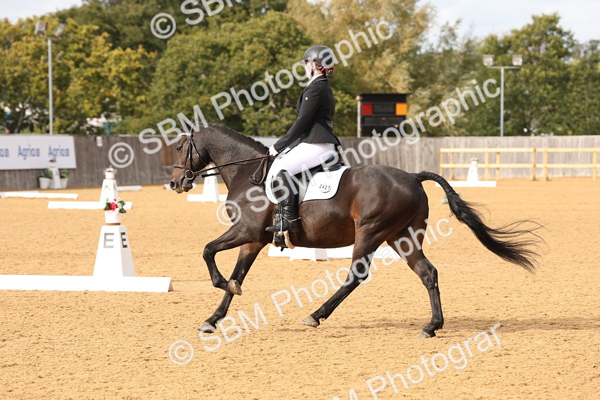 SBM_24665 - D17 - Grand Tour Championship Novice 3
