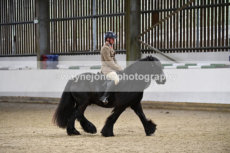 WJ5_8604 - Class 14 Novice Ridden/Rider