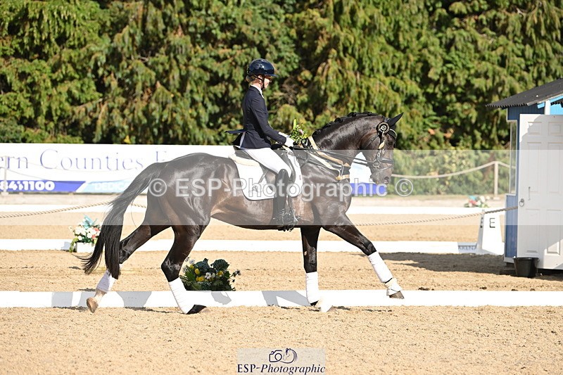 250808A-170450-02255 - Preliminary GOLD Presentations