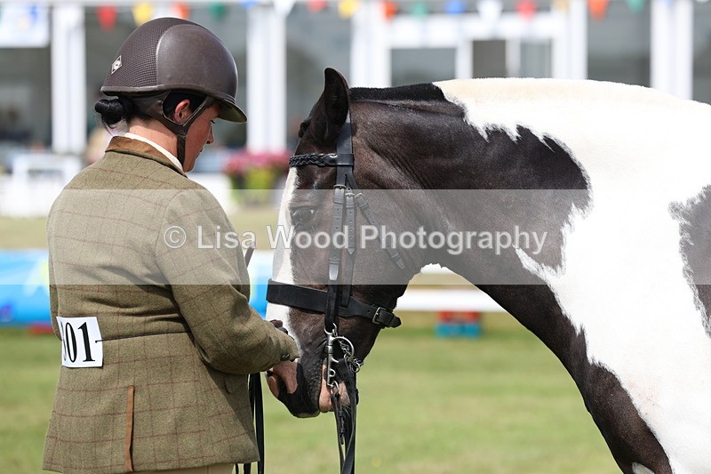 3E7A0072 - Class 5: Rising Star Lightweight/Heavyweight Cobs