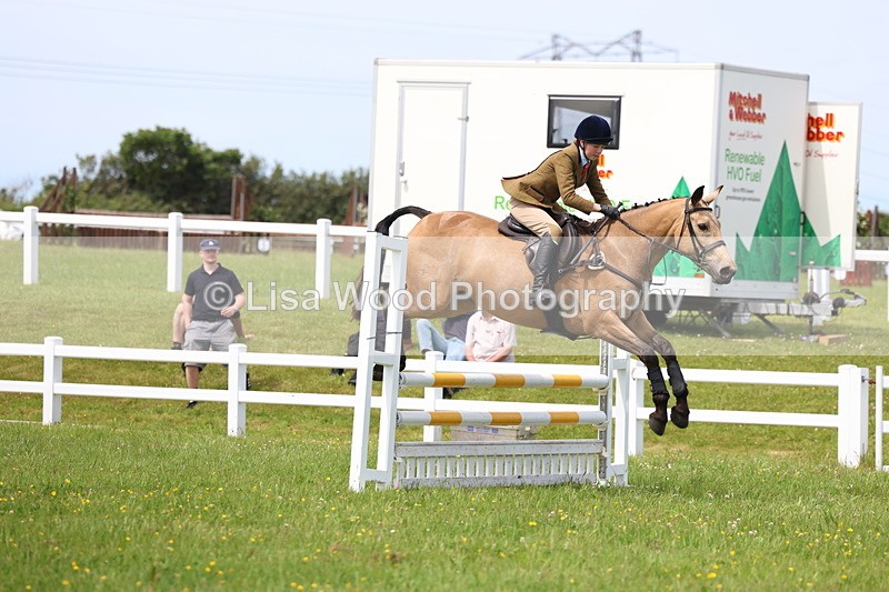 3E7A1443 - Class 13: Senior British Novice/90cm open