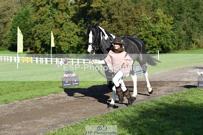 231022-104124-22668 - 438-KILCORBAN.MY.FAIR.LADY-Natasha.Crapper-TrotUp+SJ