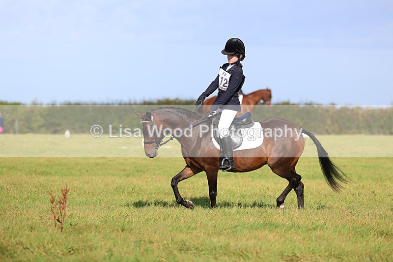 3E7A5934 - Class 1: Trebudannon Open: Dressage (Part 2)
