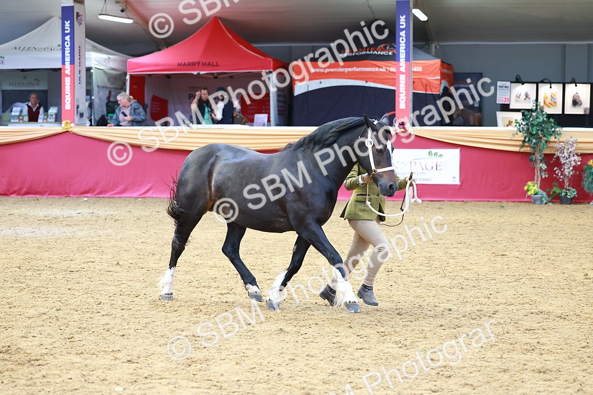 SBM_04142 - Class 9R - IH Pre-Vet