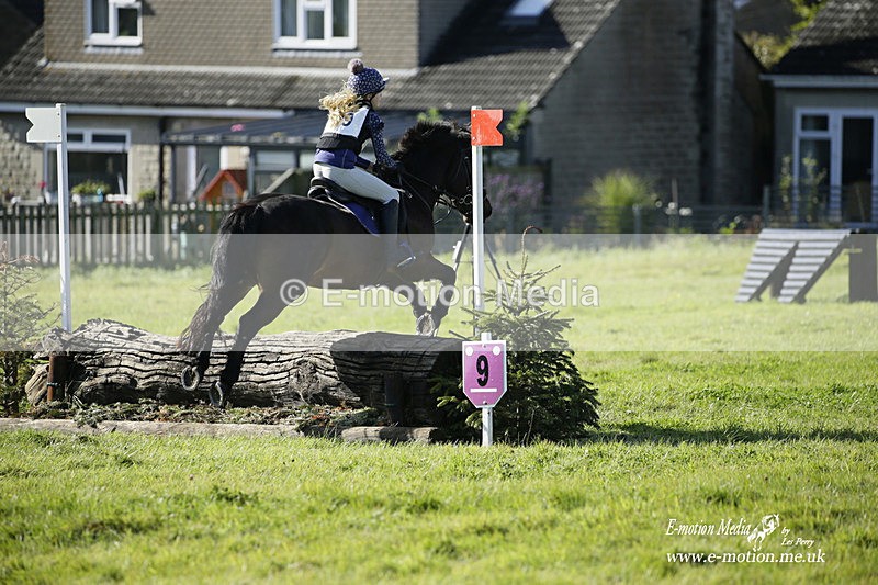  WWHT 031021 1285 - Open Novice (0.80m) 03/10/21