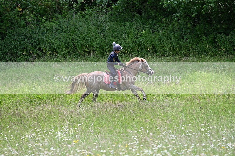 WJ7_8737 - Group 3 10:45am