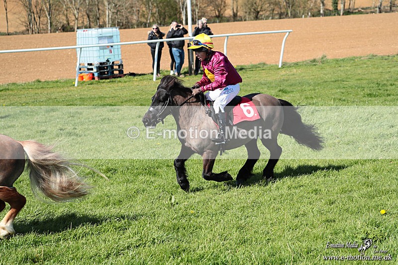 Shet 060426 183 - Shetland Pony Racing Paxford Races Easter Mon 06/04/26