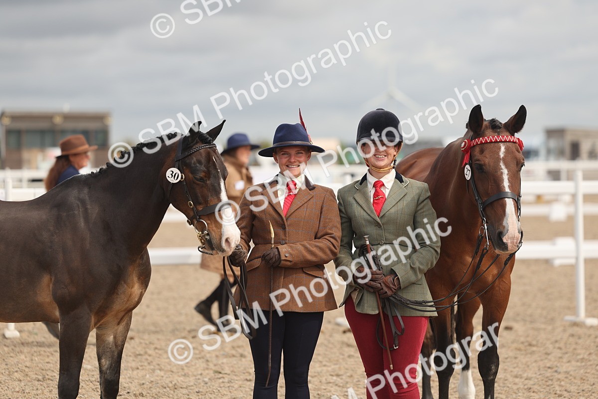 SBM_04466 - Class 18 - Handsomest Gelding (IH or Ridden)