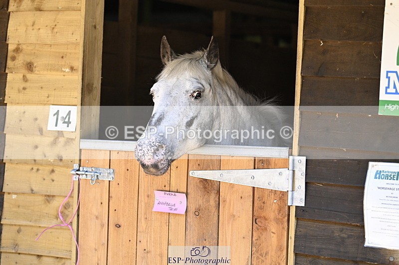 240728B-092340-00008 - Sunday Stable Shots and Fancy Dress