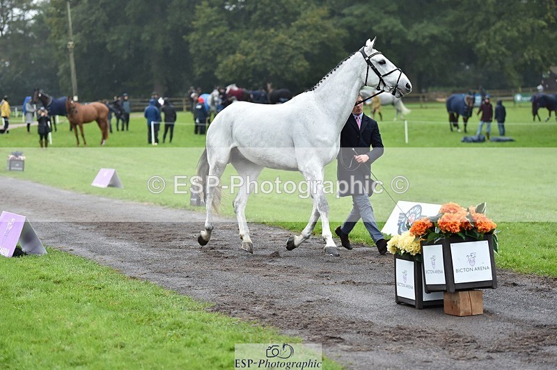 231018-121842-00198 - 027-IE.MR.MCGREGOR-Will.Furlong-TrotUp