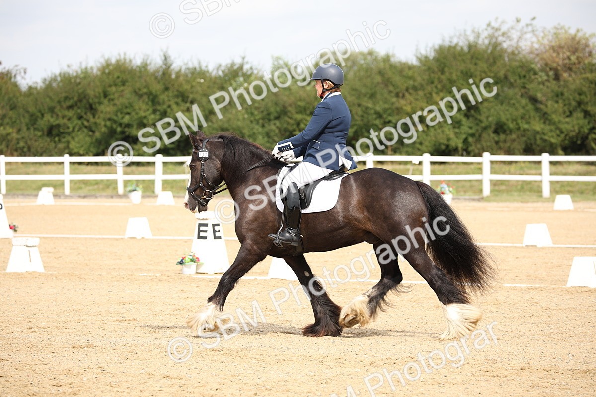 SBM_019749 - Class 22 - Medium 73 - 10.36 11.32