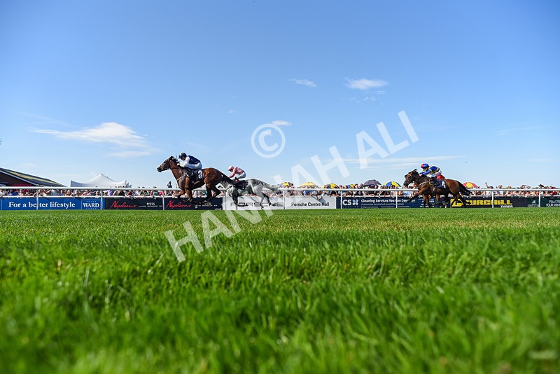 120826-Race 5-Ciao Capo-6457 - Race 5 16.15pm Cayenne Electric At Porsche Centre Hull Handicap