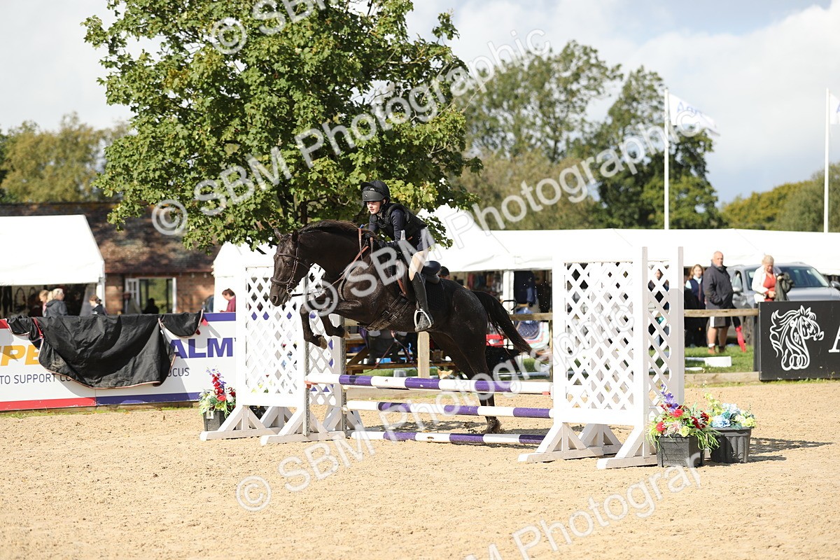 SBM_40243 - J21 - Junior Horse 60cm Championship