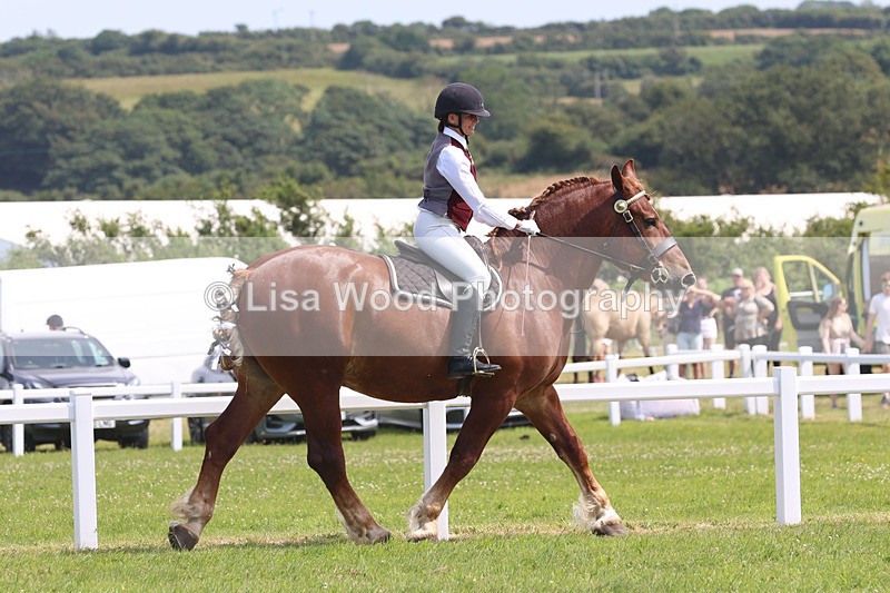 JPP_3530 - Class 15: Heavy Horse Ridden