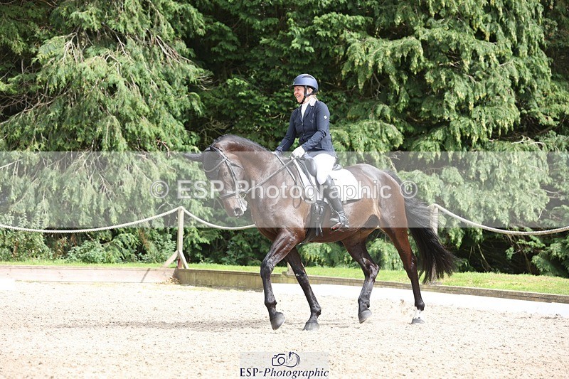 230812-152742-05144 - Cls 5 Novice Bronze 15.00 to End