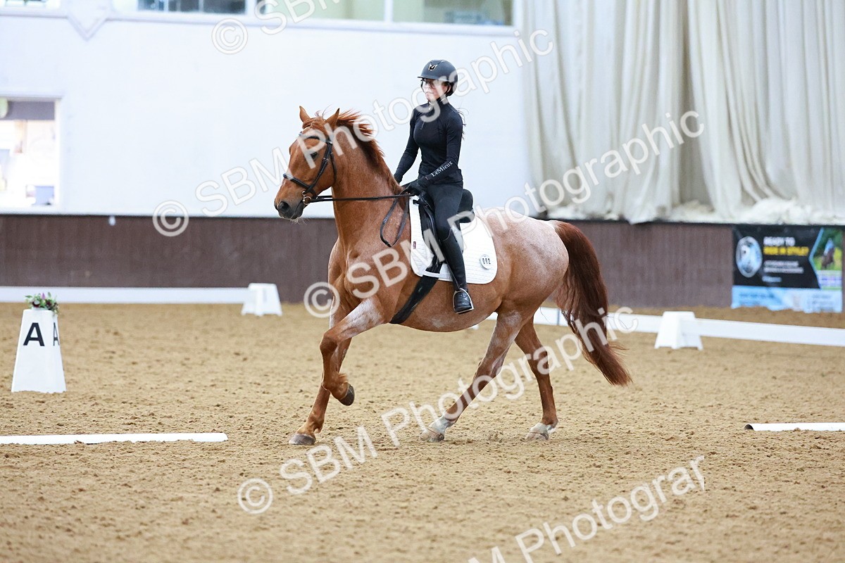 1I0A0958 - Class 3-6 - Prelim 1-Novice 2